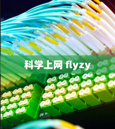 科学上网 flyzy 科学上网 flyzy