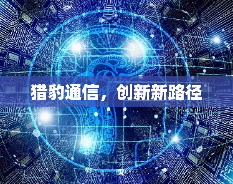 猎豹通信，创新新路径