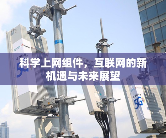 科学上网组件，互联网的新机遇与未来展望