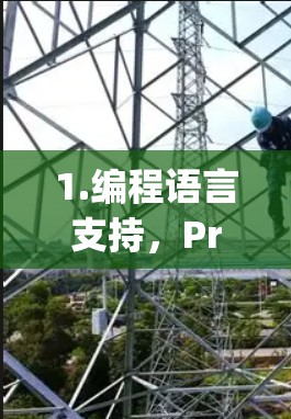 1.编程语言支持，Project V 支持 Python、MATLAB、R 等编程语言，适合开发和编写代码