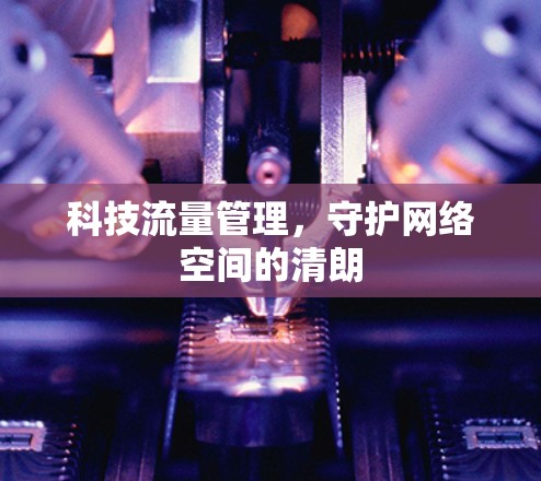 科技流量管理，守护网络空间的清朗