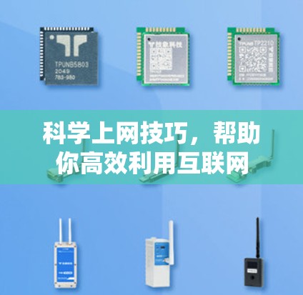 科学上网技巧，帮助你高效利用互联网
