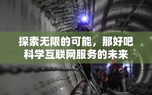 探索无限的可能，那好吧科学互联网服务的未来