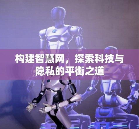 构建智慧网，探索科技与隐私的平衡之道