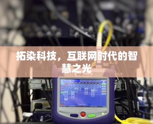 拓染科技，互联网时代的智慧之光