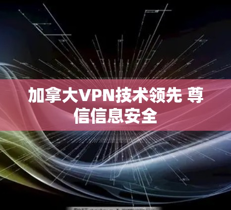 加拿大VPN技术领先 尊信信息安全