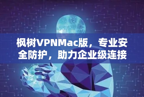 枫树VPNMac版，专业安全防护，助力企业级连接