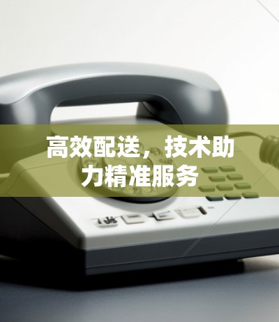 高效配送，技术助力精准服务