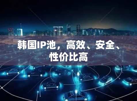 韩国IP池，高效、安全、性价比高