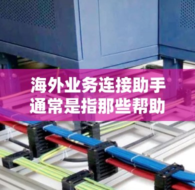 海外业务连接助手通常是指那些帮助个人或企业与海外业务联系的工具。以下是一些常见的海外业务连接助手和它们的特点