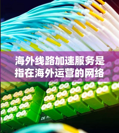 海外线路加速服务是指在海外运营的网络设备或服务，通过网络加速技术提升性能，以满足用户在海外工作的需求。以下是一些常见的海外线路加速服务类型及其特点