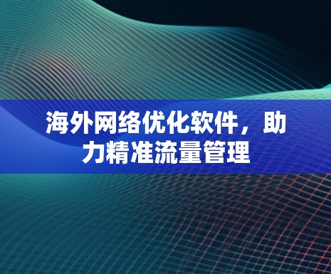 海外网络优化软件，助力精准流量管理