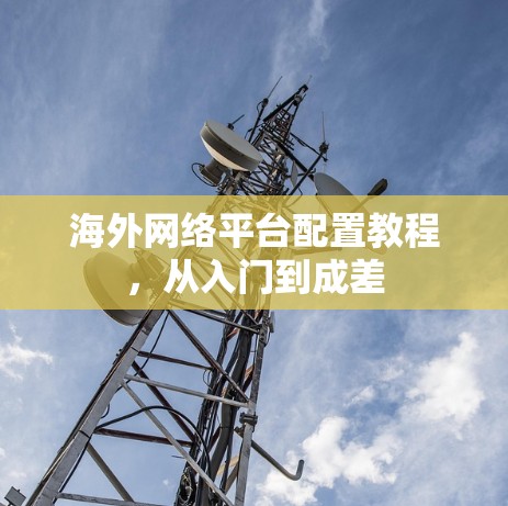 海外网络平台配置教程，从入门到成差