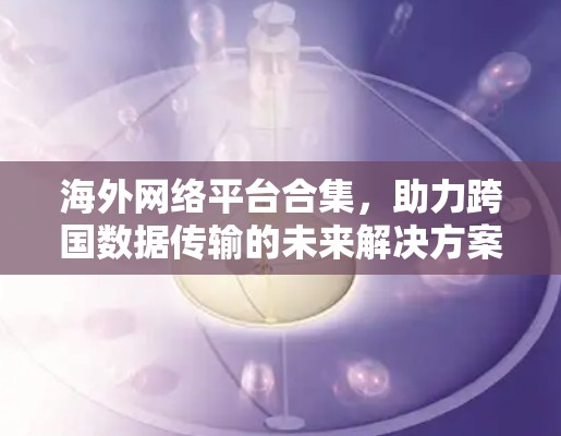 海外网络平台合集，助力跨国数据传输的未来解决方案