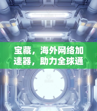 宝藏，海外网络加速器，助力全球通信高效运行