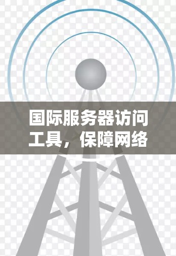 国际服务器访问工具，保障网络连接的高效解决方案