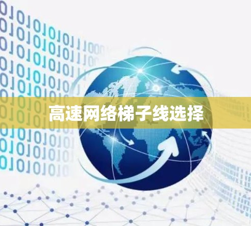 高速网络梯子线选择