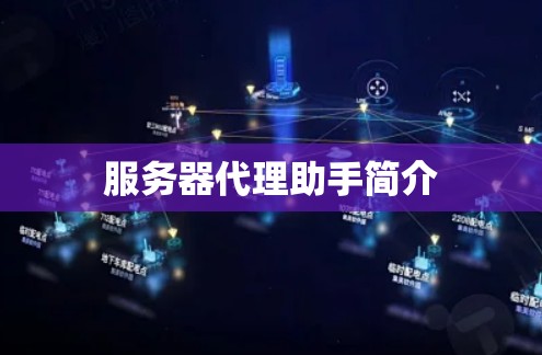 服务器代理助手简介