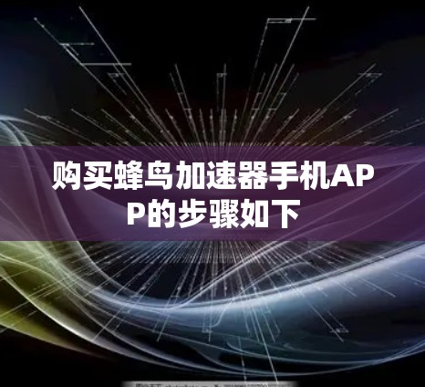 购买蜂鸟加速器手机APP的步骤如下