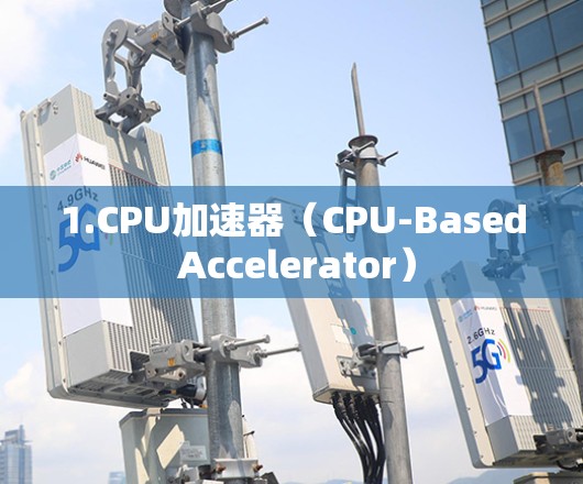 1.CPU加速器（CPU-Based Accelerator）