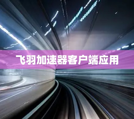飞羽加速器客户端应用