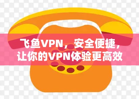 飞鱼VPN，安全便捷，让你的VPN体验更高效
