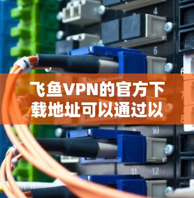 飞鱼VPN的官方下载地址可以通过以下途径获取