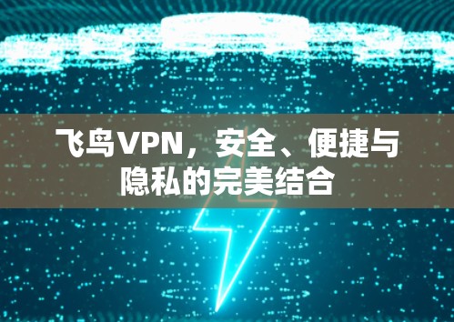 飞鸟VPN，安全、便捷与隐私的完美结合