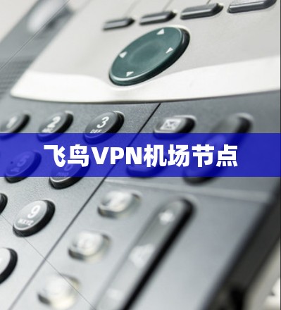 飞鸟VPN机场节点