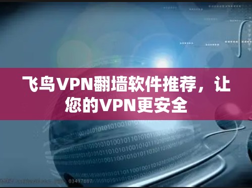 飞鸟VPN翻墙软件推荐，让您的VPN更安全