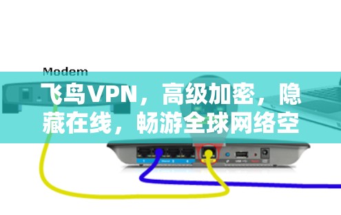 飞鸟VPN，高级加密，隐藏在线，畅游全球网络空间
