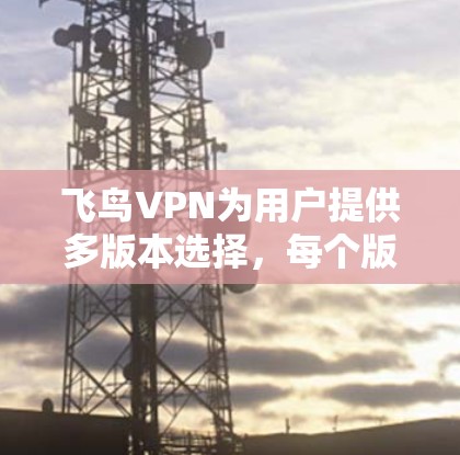 飞鸟VPN为用户提供多版本选择，每个版本各有其特定的功能和适用场景，适合不同用户的需求。以下是关于不同版本的详细介绍