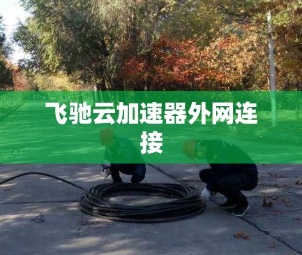 飞驰云加速器外网连接