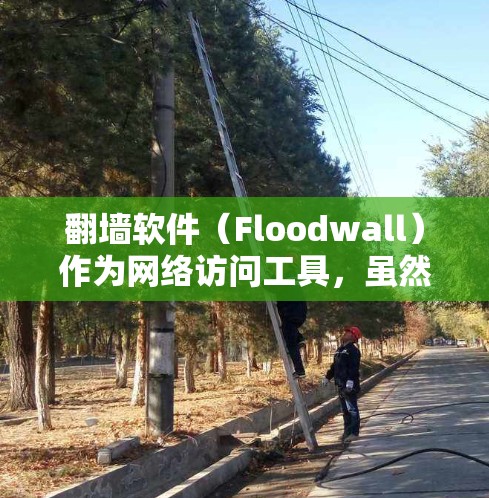 翻墙软件（Floodwall）作为网络访问工具，虽然帮助用户跨越物理边界访问网络资源，但也存在一些常见问题。以下是一些可能的常见问题及解决方法