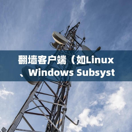 翻墙客户端（如Linux、Windows Subsystem for Linux（WSL）等）的稳定运行可以通过多种方式优化。以下是一些优化技巧和建议