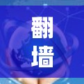 翻墙客户端的使用体验可以从以下几个方面进行分析