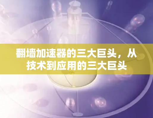 翻墙加速器的三大巨头，从技术到应用的三大巨头