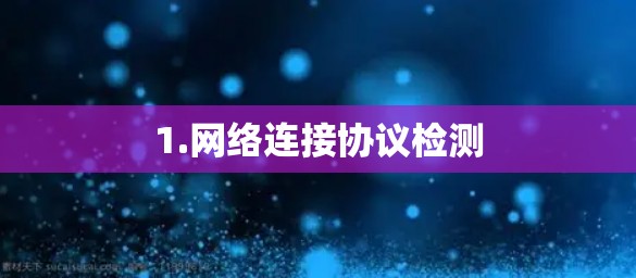 1.网络连接协议检测