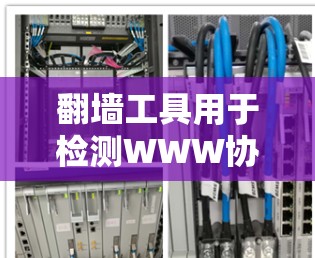 翻墙工具用于检测WWW协议和HTTP协议是否被加密，确保网络流量的安全性。检测速度是评估翻墙工具性能的重要指标，包括吞吐量、延迟、开销等。以下是对速度检测方法的详细总结
