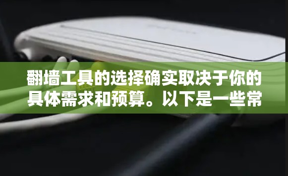 翻墙工具的选择确实取决于你的具体需求和预算。以下是一些常见的翻墙工具及其特点，供你参考