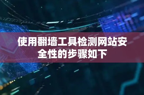 使用翻墙工具检测网站安全性的步骤如下