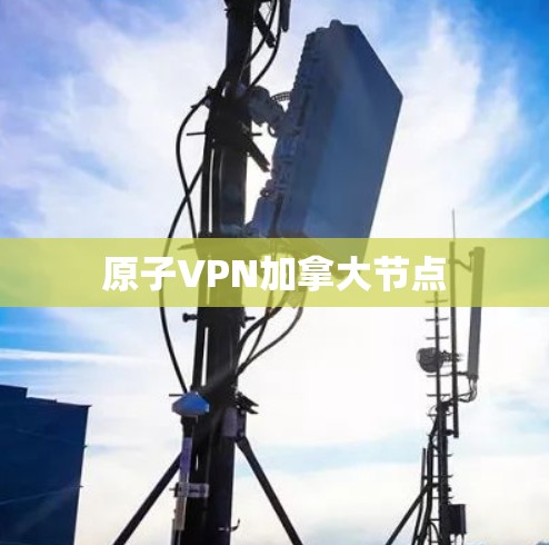原子VPN加拿大节点