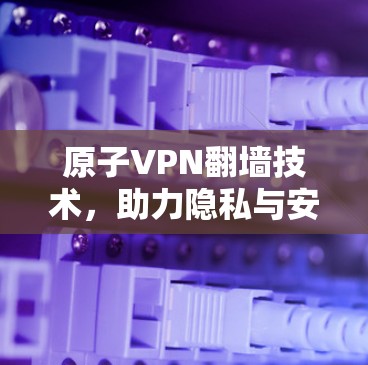 原子VPN翻墙技术,助力隐私与安全的未来 原子VPN翻墙技术,助力隐私与安全的未来