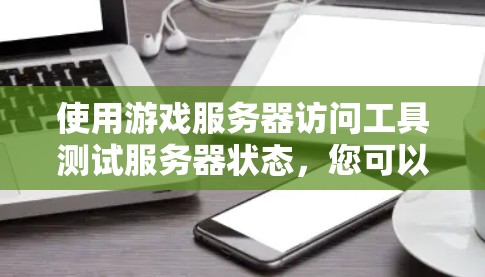 使用游戏服务器访问工具测试服务器状态，您可以按照以下步骤进行
