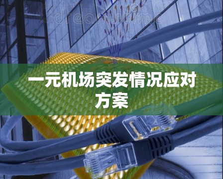 一元机场突发情况应对方案