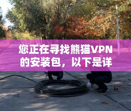 您正在寻找熊猫VPN的安装包，以下是详细的步骤